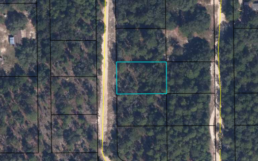 7306 Lehigh Drive, Keystone Heights